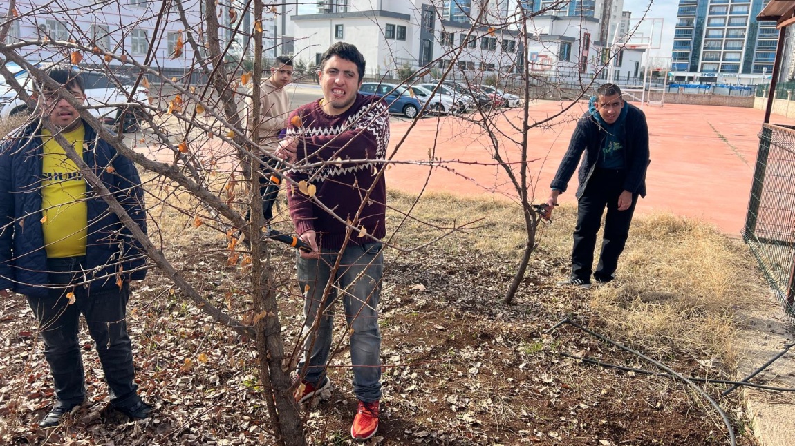 Öğrenciler ile ağaç budama